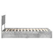 Pat cu storage Gri din beton 90 x 190 cm Lemn compozit - WALTI WALTI