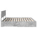 Cadru de pat cu sertar Gri din beton 200 x 200 cm Lemn compozit - WALTI WALTI