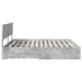 Cadru de pat cu sertar Gri din beton 180 x 200 cm Lemn compozit - WALTI WALTI