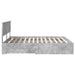 Cadru de pat cu sertar Gri din beton 160 x 200 cm Lemn compozit - WALTI WALTI