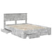 Cadru de pat cu sertar cu headboard cu depozitare Lemn compozit - WALTI WALTI