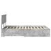 Cadru de pat cu sertar Gri din beton 120 x 190 cm Lemn compozit - WALTI WALTI