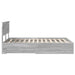 Cadru de pat cu headboard Gri Sonoma 120 x 190 cm Lemn compozit - WALTI WALTI
