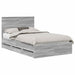 Cadru de pat cu sertar Gri Sonoma 120 x 190 cm Lemn Ingineresc - WALTI WALTI