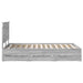 Cadru de pat cu sertar Gri Sonoma 120 x 190 cm Lemn Ingineresc - WALTI WALTI