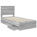 Cadru de pat cu sertar Gri Sonoma 90 x 200 cm Lemn Ingineresc - WALTI WALTI