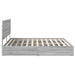 Pat cu storage cu sertar Gri Sonoma 200 x 200 cm Lemn compozit - WALTI WALTI