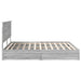 Pat cu storage cu sertar Gri Sonoma 180 x 200 cm Lemn compozit - WALTI WALTI