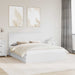 Pat cu storage cu headboard Alb 160 x 200 cm Lemn compozit - WALTI WALTI