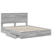 Pat cu storage cu sertar Gri Sonoma 160 x 200 cm Lemn compozit - WALTI WALTI