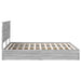 Pat cu storage cu sertar Gri Sonoma 160 x 200 cm Lemn compozit - WALTI WALTI