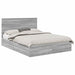 Pat cu storage cu sertar Gri Sonoma 150 x 200 cm Lemn compozit - WALTI WALTI