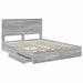 Pat cu storage cu sertar Gri Sonoma 150 x 200 cm Lemn compozit - WALTI WALTI