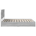 Pat cu storage cu sertar Gri Sonoma 150 x 200 cm Lemn compozit - WALTI WALTI