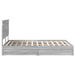 Pat cu storage cu sertar Gri Sonoma 140 x 200 cm Lemn compozit - WALTI WALTI