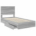 Pat cu storage cu sertar Gri Sonoma 100 x 200 cm Lemn compozit - WALTI WALTI