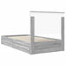 Pat cu storage cu sertar Gri Sonoma 100 x 200 cm Lemn compozit - WALTI WALTI