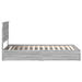 Pat cu storage cu sertar Gri Sonoma 100 x 200 cm Lemn compozit - WALTI WALTI