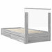 Pat cu storage cu sertar Gri Sonoma 90 x 200 cm Lemn compozit - WALTI WALTI