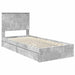 Pat cu storage Gri din beton 90 x 190 cm Lemn compozit - WALTI WALTI