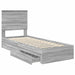 Pat cu storage cu sertar Gri Sonoma 75 x 190 cm Lemn compozit - WALTI WALTI