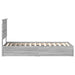 Pat cu storage cu sertar Gri Sonoma 75 x 190 cm Lemn compozit - WALTI WALTI