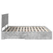 Cadru de pat cu sertar Gri din beton 200 x 200 cm Lemn compozit - WALTI WALTI