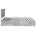 Cadru de pat cu sertar Gri din beton 160 x 200 cm Lemn compozit - WALTI WALTI
