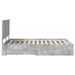 Cadru de pat cu sertar Gri din beton 140 x 190 cm Lemn compozit - WALTI WALTI