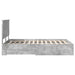 Cadru de pat cu sertar Gri din beton 120 x 200 cm Lemn compozit - WALTI WALTI