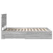 Cadru de pat cu headboard Gri Sonoma 120 x 200 cm Lemn compozit - WALTI WALTI