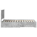 Cadru de pat cu sertar Gri din beton 100 x 200 cm Lemn compozit - WALTI WALTI