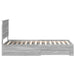 Cadru de pat cu headboard Gri Sonoma 100 x 200 cm Lemn compozit - WALTI WALTI