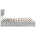 Pat cu storage cu sertar Gri Sonoma 200 x 200 cm Lemn compozit - WALTI WALTI