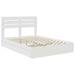 Pat cu storage cu headboard Alb 160 x 200 cm Lemn compozit - WALTI WALTI