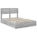 Pat cu storage cu sertar Gri Sonoma 140 x 200 cm Lemn compozit - WALTI WALTI