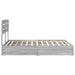 Pat cu storage cu sertar Gri Sonoma 140 x 200 cm Lemn compozit - WALTI WALTI