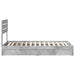 Pat cu storage Gri din beton 90 x 190 cm Lemn compozit - WALTI WALTI