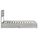 Pat cu storage cu sertar Gri Sonoma 90 x 190 cm Lemn compozit - WALTI WALTI