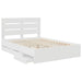 Cadru de pat cu sertar Alb 160 x 200 cm Lemn Ingineresc - WALTI WALTI