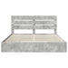 Pat cu storage Gri din beton 200 x 200 cm Lemn compozit - WALTI WALTI