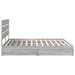 Pat cu storage cu sertar Gri Sonoma 200 x 200 cm Lemn compozit - WALTI WALTI