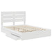 Pat cu storage cu headboard Alb 150 x 200 cm Lemn compozit - WALTI WALTI