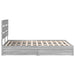 Pat cu storage cu sertar Gri Sonoma 150 x 200 cm Lemn compozit - WALTI WALTI