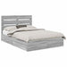 Pat cu storage cu sertar Gri Sonoma 140 x 200 cm Lemn compozit - WALTI WALTI