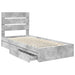 Pat cu storage Gri din beton 70 x 190 cm Lemn compozit - WALTI WALTI
