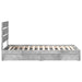 Pat cu storage Gri din beton 70 x 190 cm Lemn compozit - WALTI WALTI