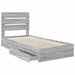 Pat cu storage cu sertar Gri Sonoma 70 x 190 cm Lemn compozit - WALTI WALTI