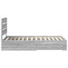 Cadru de pat cu sertar Gri Sonoma 100 x 200 cm Lemn compozit - WALTI WALTI