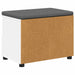 Bancă pentru hol cu pernă cu sertar Alb 60 x 38 x 46 cm - WALTI WALTI